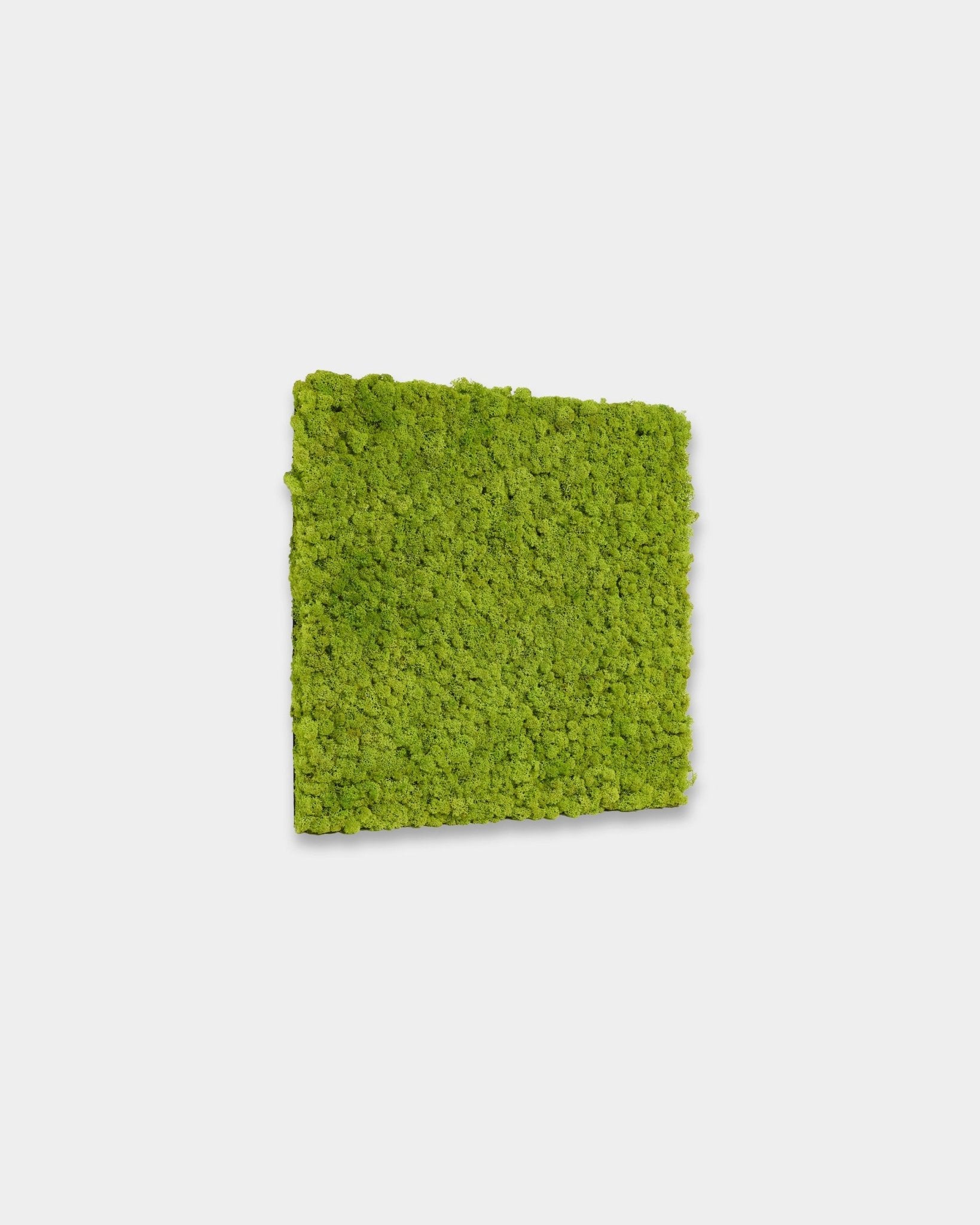 WoodUpp Akupixel Akoestisch paneel in Apple Green, formaat 60 x 60 cm, heeft levendige groene latten tegen een effen witte achtergrond.